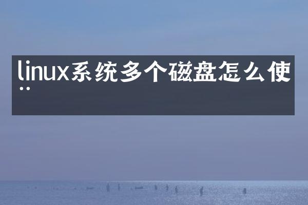 linux系统多个磁盘怎么使用