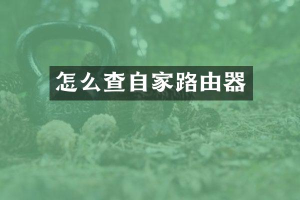 怎么查自家路由器