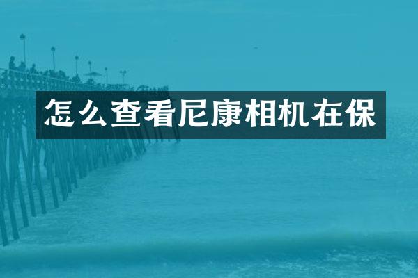 怎么查看尼康相机在保
