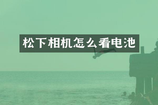 松下相机怎么看电池