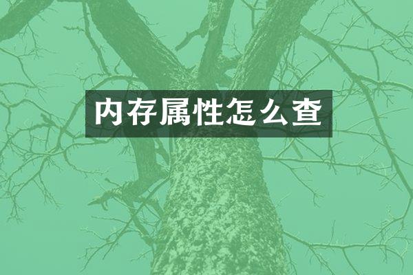 内存属性怎么查