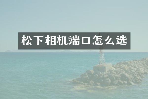 松下相机端口怎么选