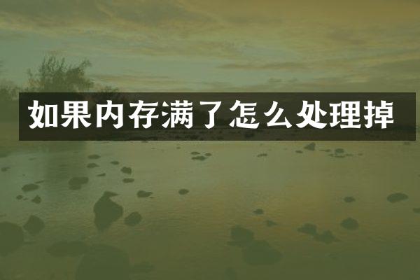 如果内存满了怎么处理掉
