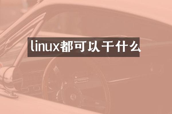 linux都可以干什么