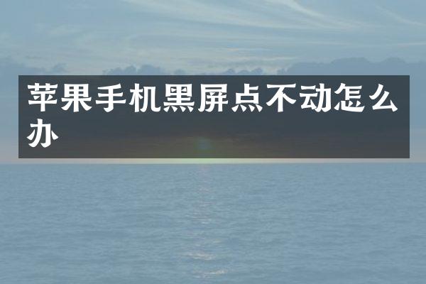 苹果手机黑屏点不动怎么办