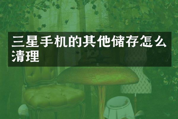 三星手机的其他储存怎么清理