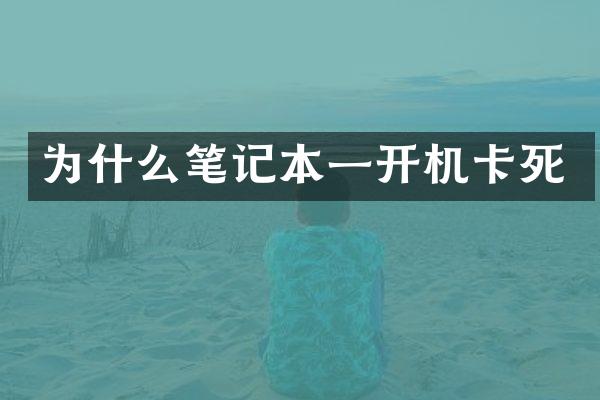 为什么笔记本一开机卡死