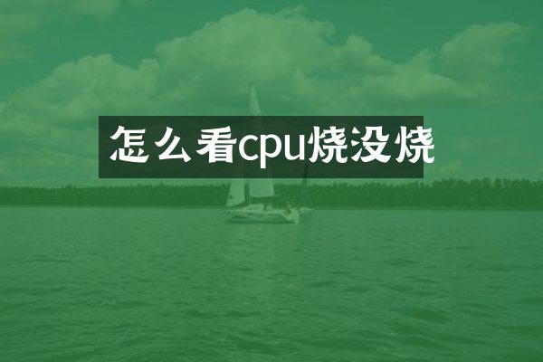 怎么看cpu烧没烧