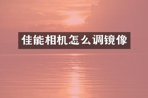 佳能相机怎么调镜像