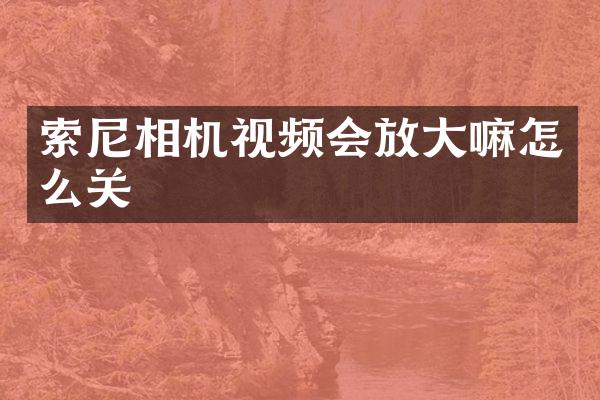 索尼相机视频会放大嘛怎么关