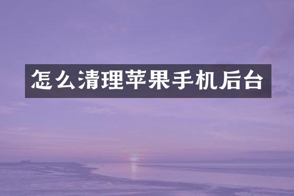 怎么清理苹果手机后台