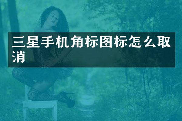 三星手机角标图标怎么取消