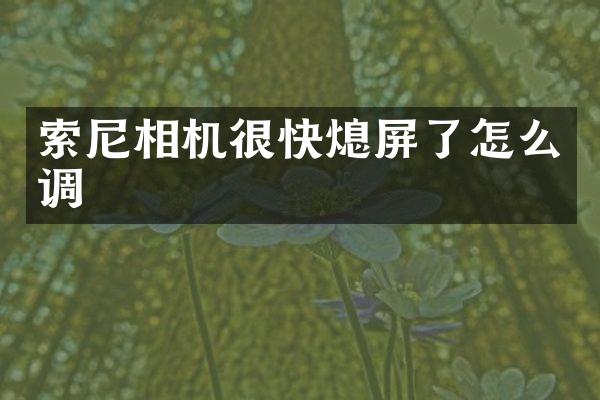 索尼相机很快熄屏了怎么调