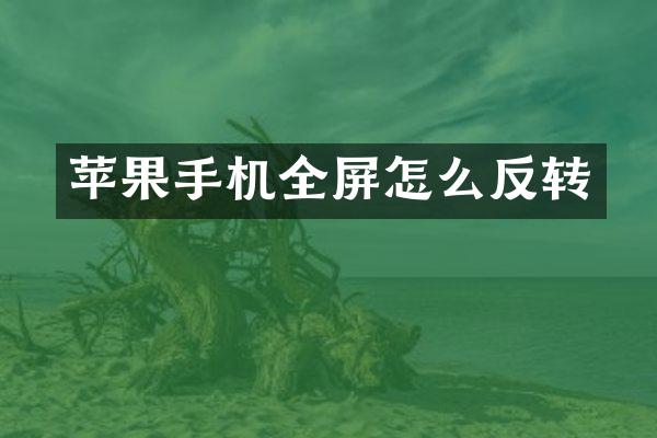 苹果手机全屏怎么反转