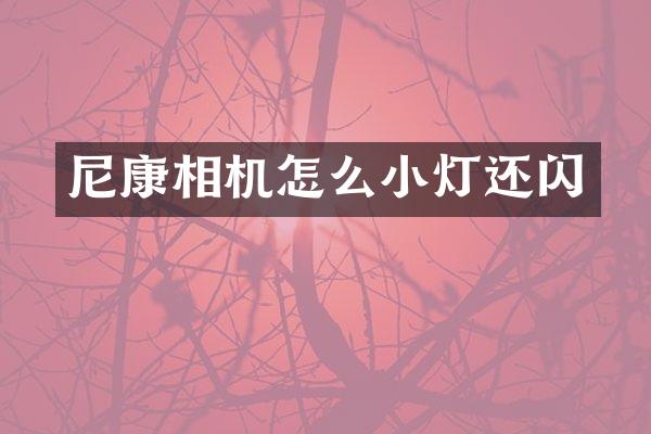 尼康相机怎么小灯还闪