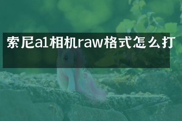 索尼a1相机raw格式怎么打开