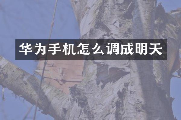 华为手机怎么调成明天