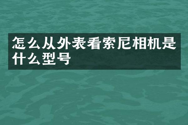 怎么从外表看索尼相机是什么型号