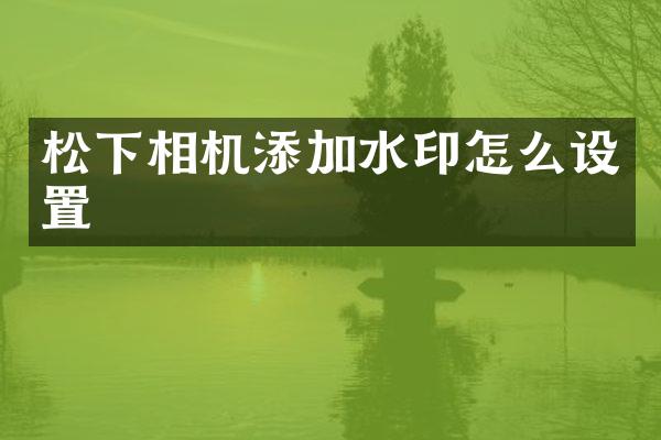 松下相机添加水印怎么设置