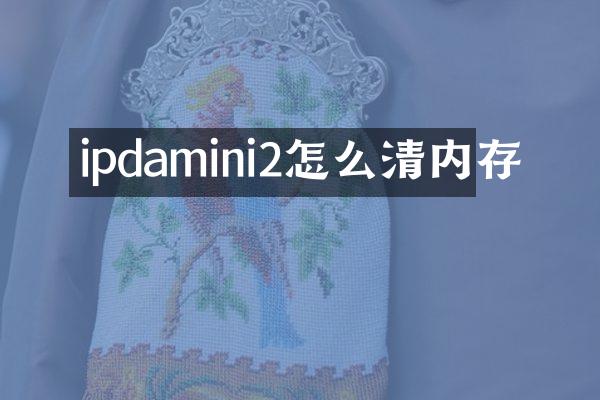 ipdamini2怎么清内存