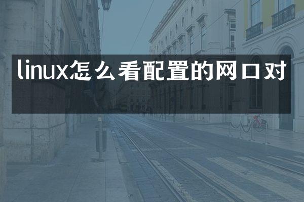 linux怎么看配置的网口对应