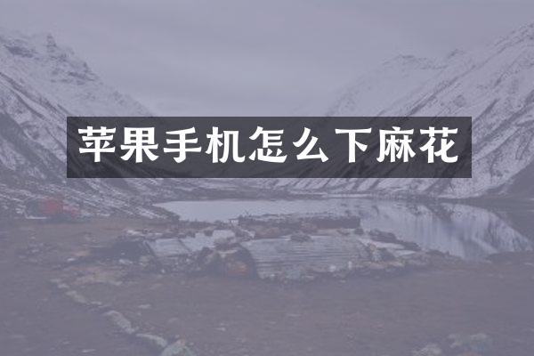 苹果手机怎么下麻花