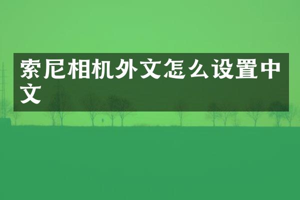 索尼相机外文怎么设置中文