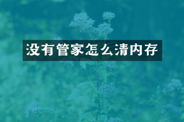 没有管家怎么清内存