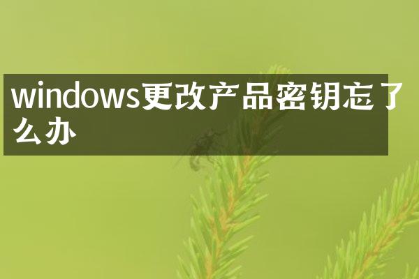 windows更改产品密钥忘了怎么办