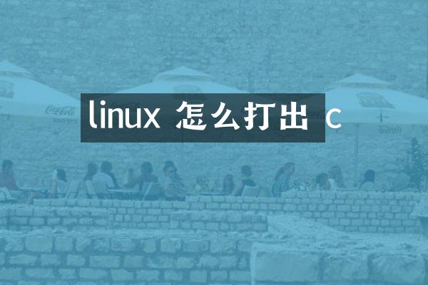 linux 怎么打出 c