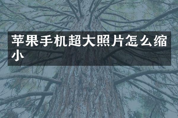 苹果手机超大照片怎么缩小