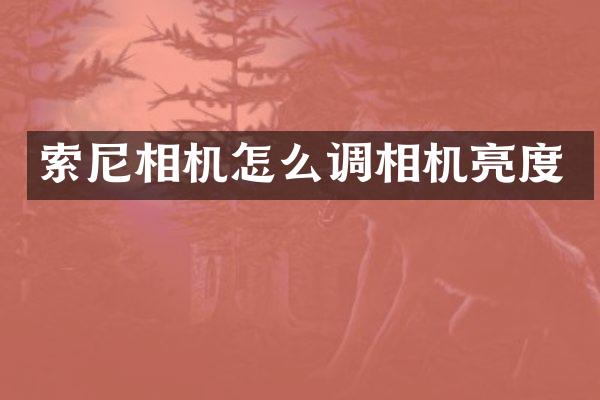 索尼相机怎么调相机亮度