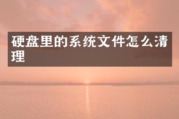 硬盘里的系统文件怎么清理