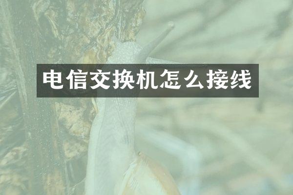电信交换机怎么接线
