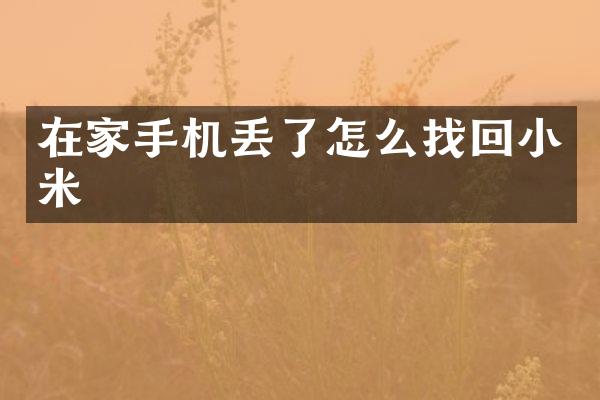 在家手机丢了怎么找回小米