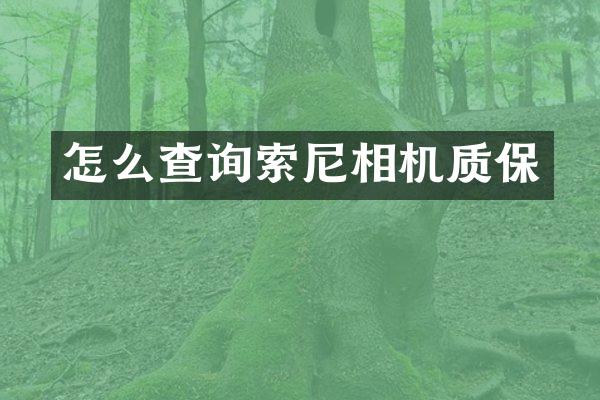 怎么查询索尼相机质保