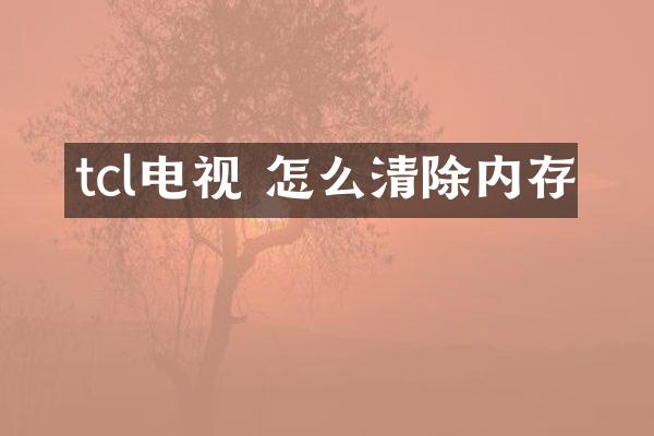 tcl电视 怎么清除内存