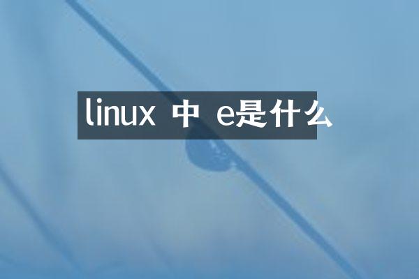 linux 中 e是什么