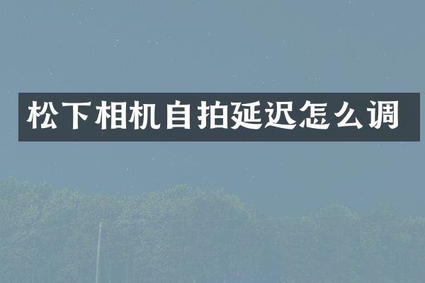 松下相机自拍延迟怎么调