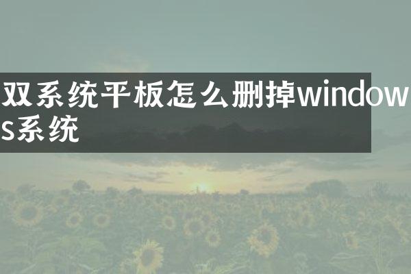 双系统平板怎么删掉windows系统
