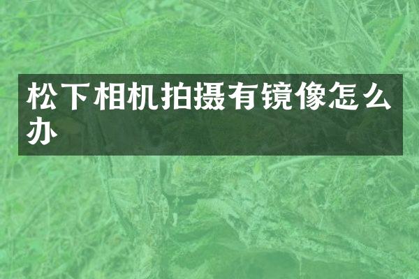 松下相机拍摄有镜像怎么办