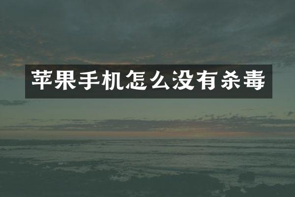 苹果手机怎么没有