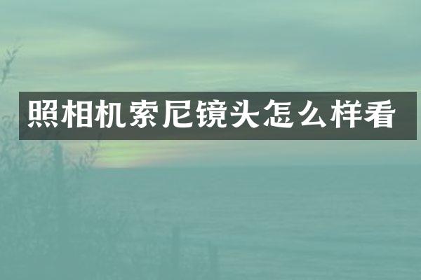 照相机索尼镜头怎么样看