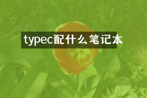typec配什么笔记本