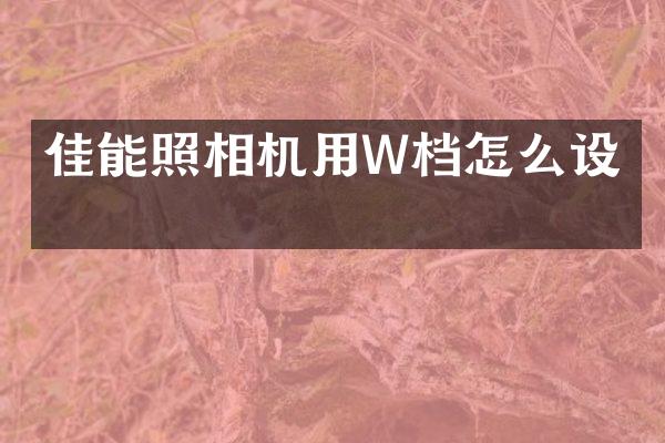 佳能照相机用W档怎么设置