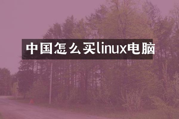 中国怎么买linux电脑
