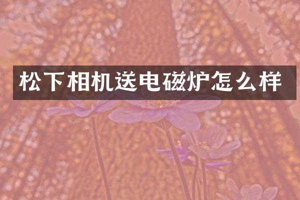 松下相机送电磁炉怎么样