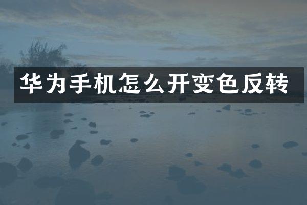 华为手机怎么开变色反转