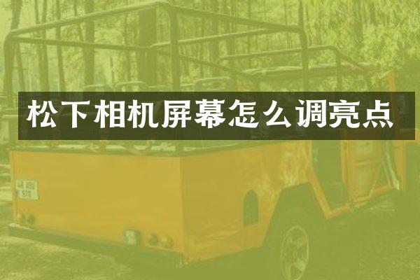 松下相机屏幕怎么调亮点