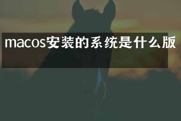 macos安装的系统是什么版本